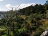 Inverewe garden