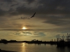 Haven Lauwersoog