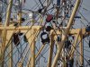 Haven Lauwersoog
