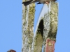 Huismus