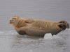 Zeehond