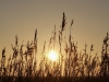 Zonsondergang
