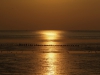 Zonsondergang