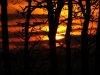 Zonsopkomst