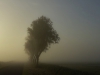 Zonsopkomst