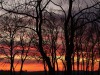 Zonsopkomst