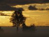 Zonsopkomst