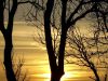 Zonsopkomst